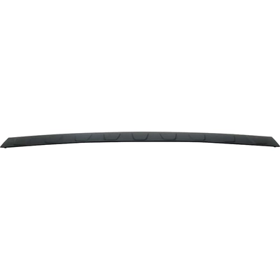 Rear Bumper Step Pad - HO1191103 pa1
