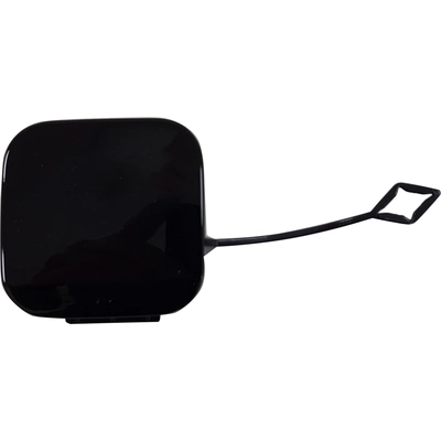 Rear Bumper Tow Hook Cover - BM1129155 pa1