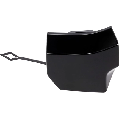 Rear Bumper Tow Hook Cover - BM1129160 pa1