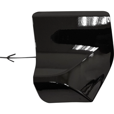 Rear Bumper Tow Hook Cover - LX1129109 pa1