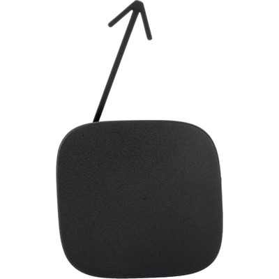Rear Bumper Tow Hook Cover - NI1129101 pa1