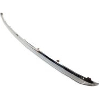 Rear Bumper Tow Hook Cover - NI1129107 pa1