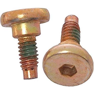 Rear Caliper Bolt Or Pin by RAYBESTOS - H5019W pa7