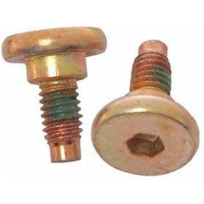 Rear Caliper Bolt Or Pin by RAYBESTOS - H5019W pa8