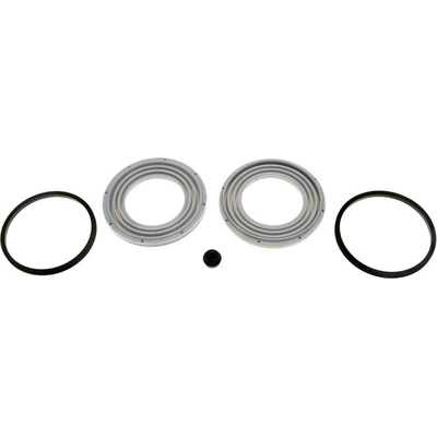 Rear Caliper Kit by RAYBESTOS - WK2888 pa1