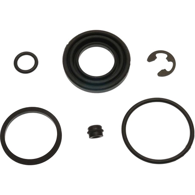 Rear Caliper Kit by RAYBESTOS - WK3485 pa2