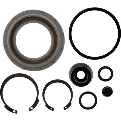 Rear Caliper Kit by RAYBESTOS - WK4203 pa2