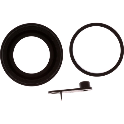 Rear Caliper Kit by RAYBESTOS - WK475 pa1