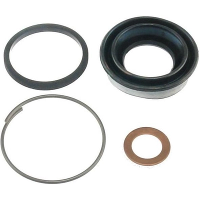 Rear Caliper Kit by RAYBESTOS - WK1531 pa2