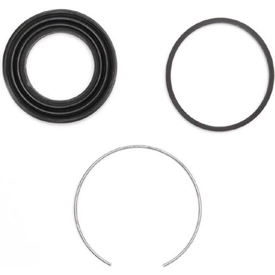 Rear Caliper Kit by RAYBESTOS - WK2040 pa2