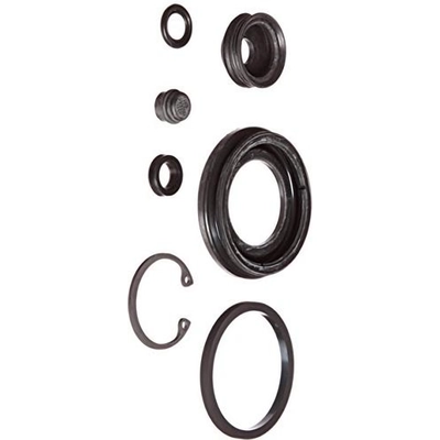 Rear Caliper Kit by RAYBESTOS - WK995 pa4