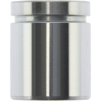 CENTRIC PARTS - 146.38021 - Rear Caliper Piston pa2