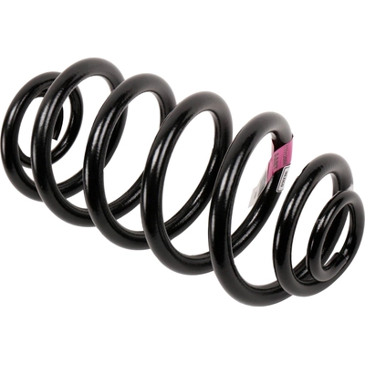Rear Coil Springs by ACDELCO - 13312084 pa2
