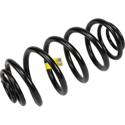 Rear Coil Springs by ACDELCO - 13363445 pa1