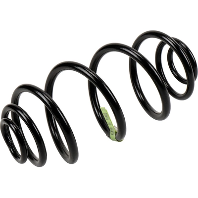 Rear Coil Springs by ACDELCO - 22731055 pa1