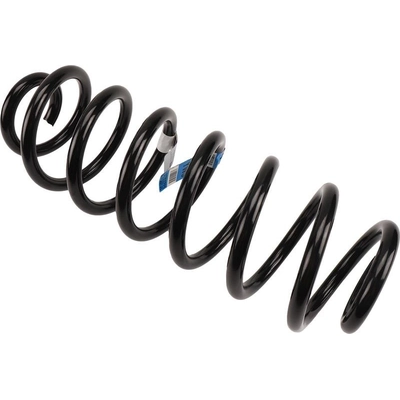 Rear Coil Springs by ACDELCO - 25783732 pa2