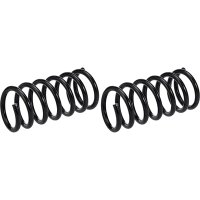 Rear Coil Springs by ACDELCO - 45H2113 pa1