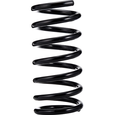Rear Coil Springs by ACDELCO - 45H2113 pa2