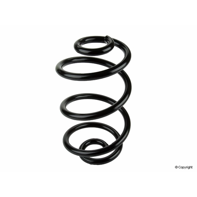 Rear Coil Spring by LESJOFORS - 4204225 pa1