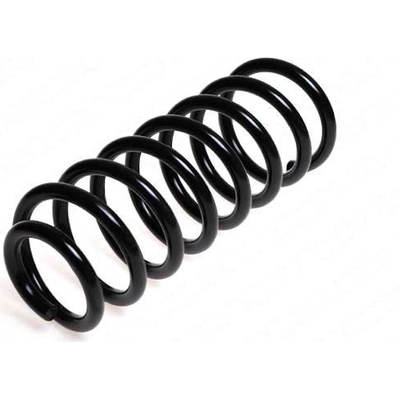 LESJOFORS - 4204234 - Rear Coil Springs pa2