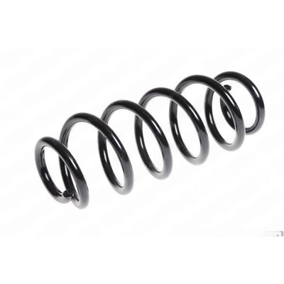 LESJOFORS - 4204262 - Rear Coil Springs pa1