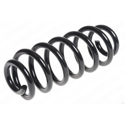 LESJOFORS - 4204283 - Rear Coil Springs pa1