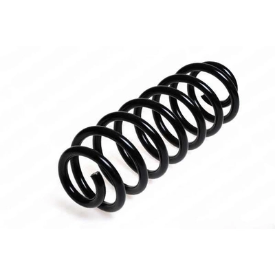 LESJOFORS - 4208426 - Rear Coil Springs pa1