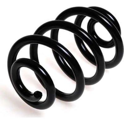 LESJOFORS - 4208432 - Rear Coil Spring pa4