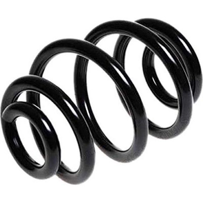 LESJOFORS - 4208434 - Rear Coil Spring pa3