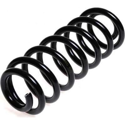 Rear Coil Springs by LESJOFORS - 4208443 pa1