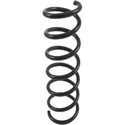 Rear Coil Spring by LESJOFORS - 4208453 pa4