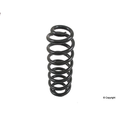 Rear Coil Spring by LESJOFORS - 4208457 pa1
