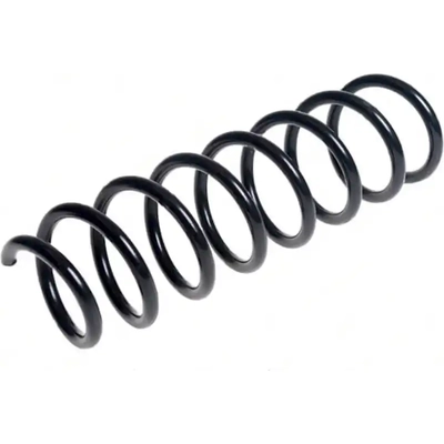 Rear Coil Spring by LESJOFORS - 4208481 pa2