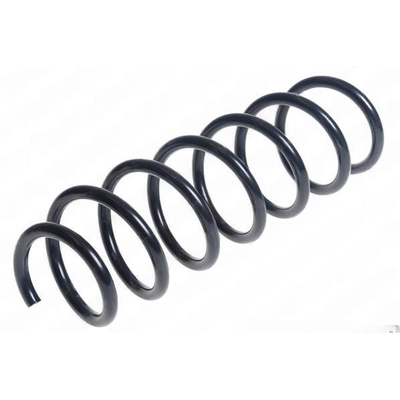 LESJOFORS - 4208482 - Rear Coil Springs pa1