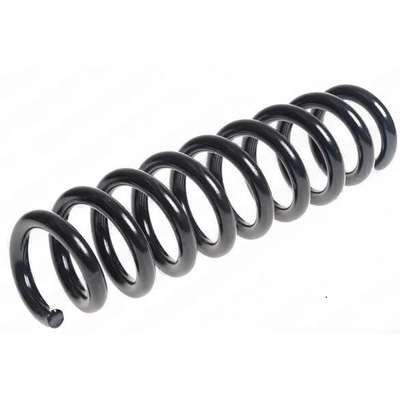 LESJOFORS - 4208483 - Rear Coil Springs pa1