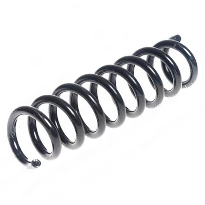 LESJOFORS - 4208491 - Rear Coil Springs pa1