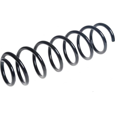 Rear Coil Springs by LESJOFORS - 4208513 pa1