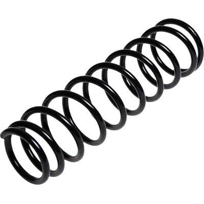 LESJOFORS - 4235723 - Rear Coil Springs pa1