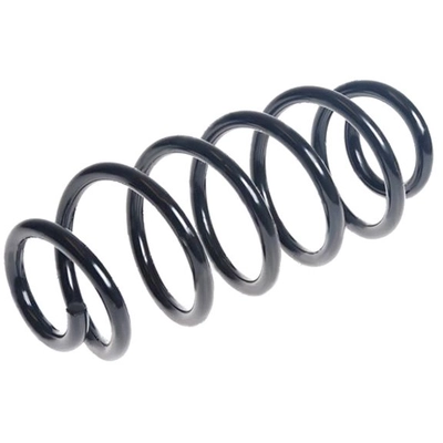 LESJOFORS - 4235772 - Rear Coil Springs pa1