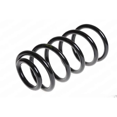 LESJOFORS - 4237229 - Rear Coil Springs pa1