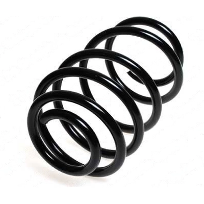 LESJOFORS - 4242104 - Rear Coil Springs pa2