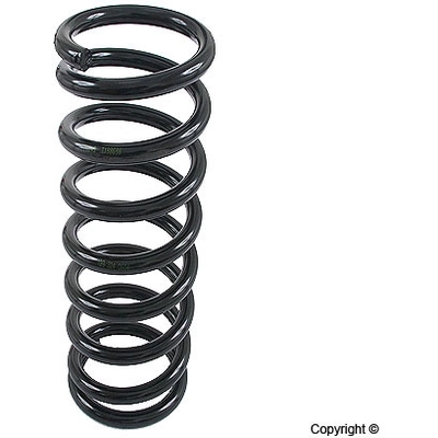 Rear Coil Spring by LESJOFORS - 4256802 pa2