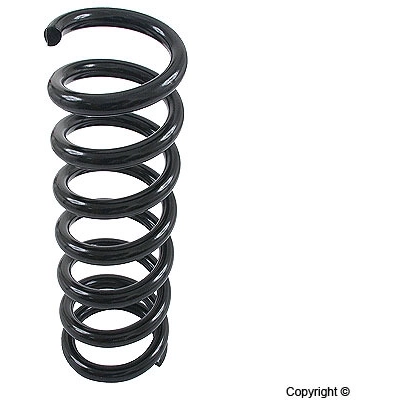 Rear Coil Spring by LESJOFORS - 4256807 pa2
