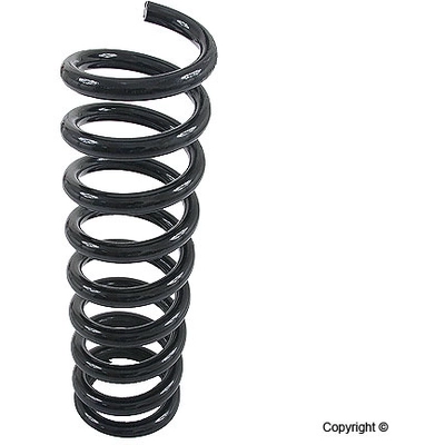 Rear Coil Spring by LESJOFORS - 4256810 pa1