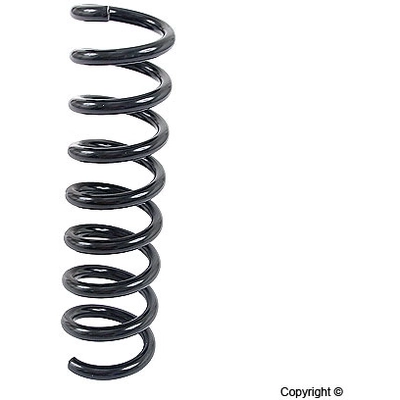 Rear Coil Spring by LESJOFORS - 4256849 pa1