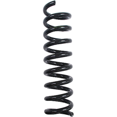LESJOFORS - 4256850 - Rear Coil Spring pa6