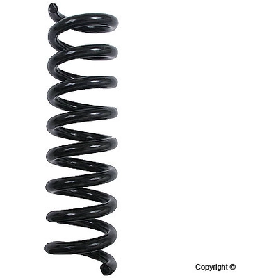 Rear Coil Spring by LESJOFORS - 4256851 pa2