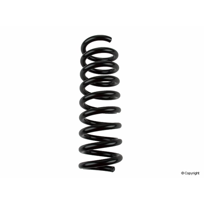 Rear Coil Spring by LESJOFORS - 4256865 pa1