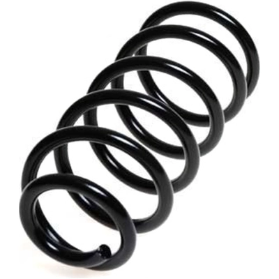 Rear Coil Spring by LESJOFORS - 4258700 pa2