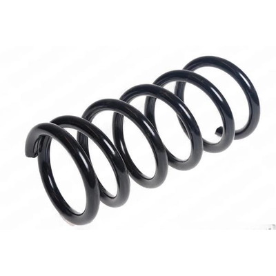 LESJOFORS - 4262077 - Rear Coil Spring pa1